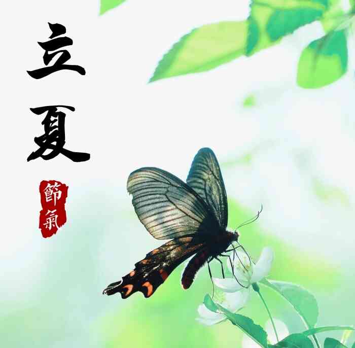 立夏,立夏宜忌,立夏的注意事项