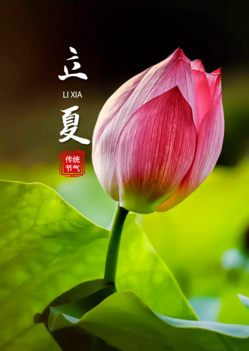 立夏,立夏习俗,立夏的注意事项