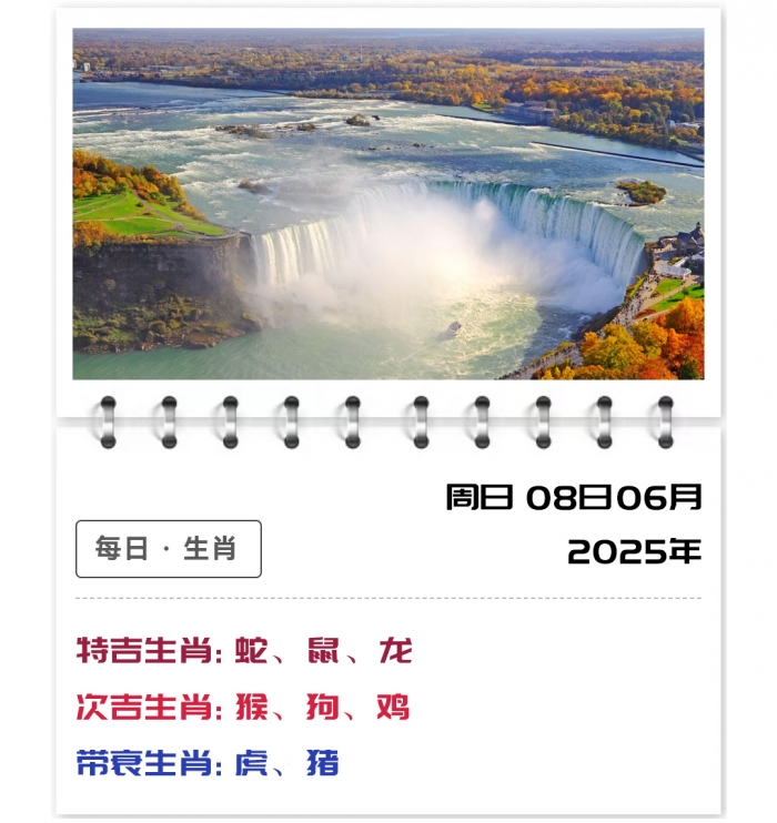 202568Ф