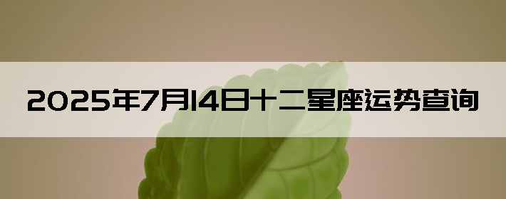 2025714ʮƲѯ