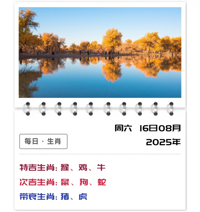 12Ф,ÿһƼ,816֣ʿ