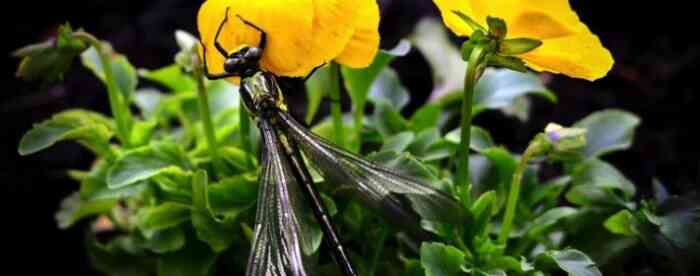 免费在线算命,看你2025婚恋运如何