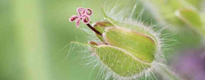 免费在线算命,看你2025婚恋运如何