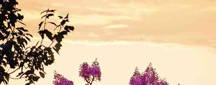 财运不好怎么转运招财?佩戴什么