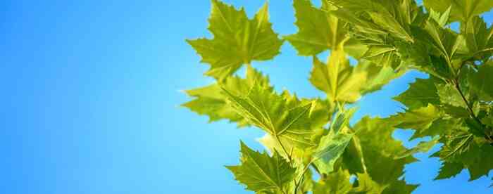 免费算命婚姻正缘分析未来伴侣特征