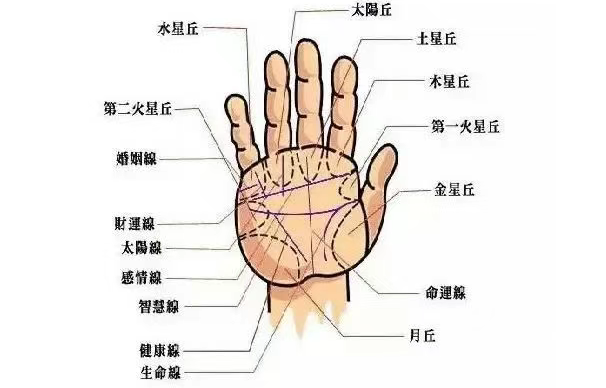 看运势免费算命,看近期是否有偏财