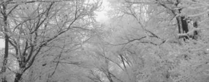 免费在线算命近期有无贵人相助