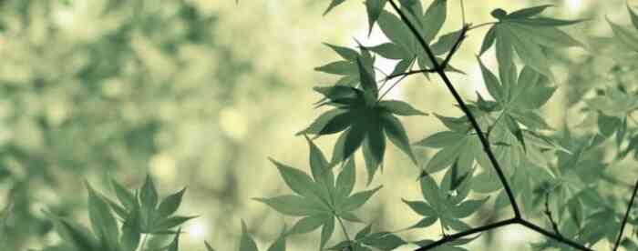 免费八字算命,从八字看六亲缘分