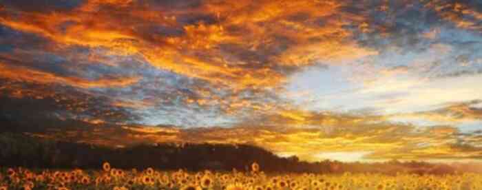 免费算命婚姻正缘,什么时候脱单!