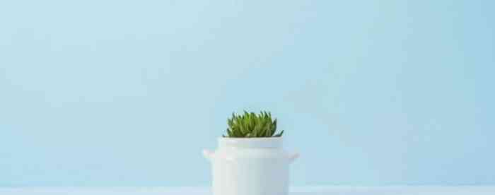 免费占卜算命看命中的烂桃花多不多