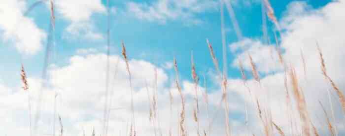 免费在线算命看工作调动是好是坏