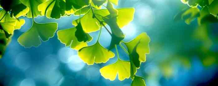 临近年底顺不顺?免费占卜算命来看看