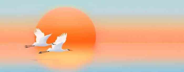 免费在线算命婚姻阻碍破解方法