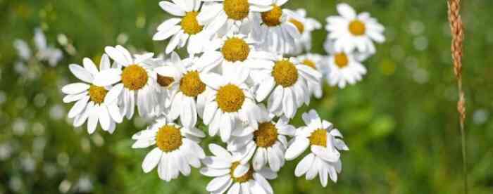 免费算命婚姻正缘方向,他离你有多近