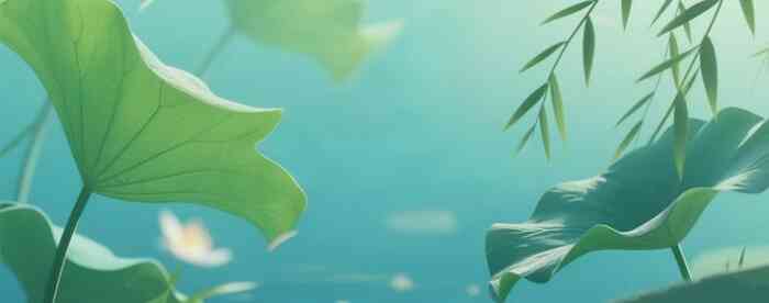 看运势免费算命,测你事业何时起飞