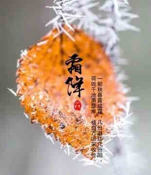 霜降,节气命理解读,霜降知识