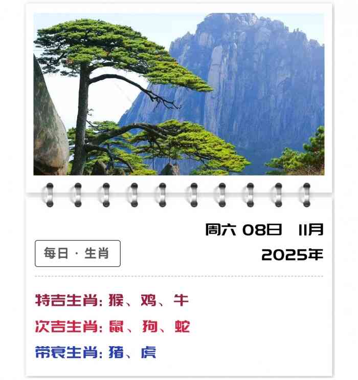 12生肖运势,生肖每日运势解读,11月8日郑博士生肖运势