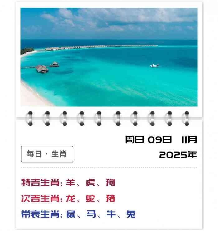 12生肖运势,生肖每日运势解读,11月9日生肖运势