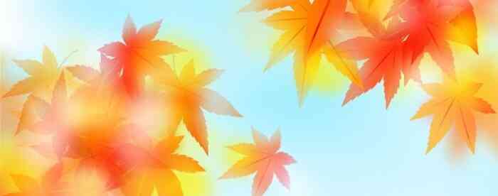 财运不好怎么转运招财?疏财脉运自来