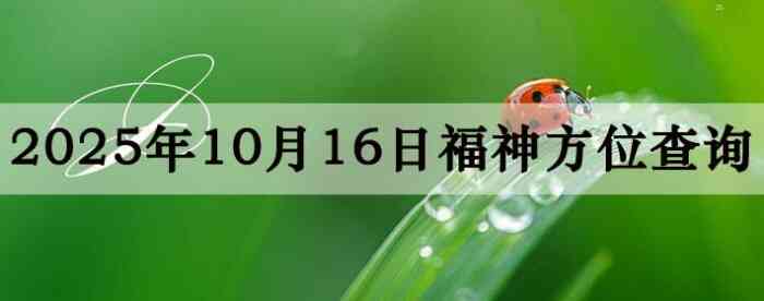 2025年11月16日福神方位全解析!