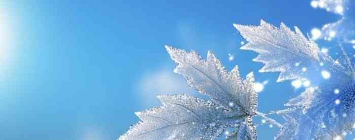 免费算命婚姻正缘:八字测正缘有钱吗