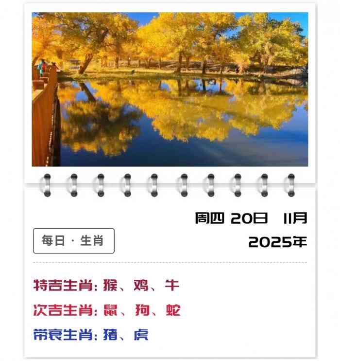 12生肖运势,12生肖每日运势详情,11月20日郑博士运势解读