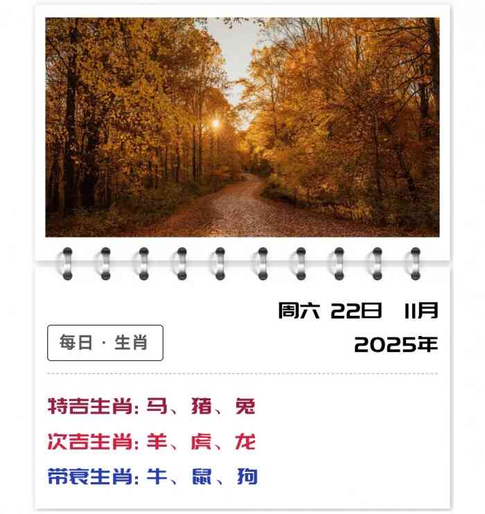11月22日郑博士运势,12生肖运势,12生肖每日运势详情