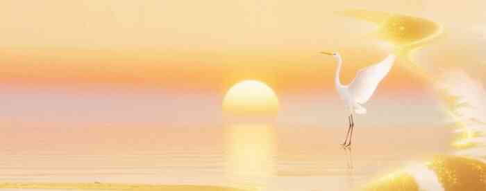 想测事业官运如何?用免费八字算命看