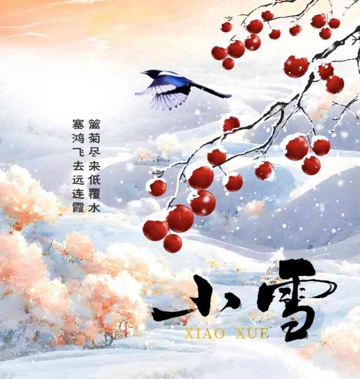 小雪,节气小雪特征,小雪节气的宜忌