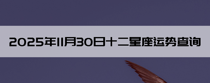 2025��11��30��ʮ���������Ʋ�ѯ