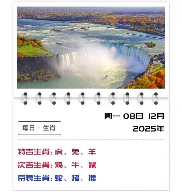 12生肖运势,运势吉凶生肖运程,12月8日郑博士运势解读