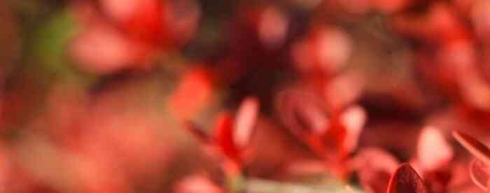 ��������������������ʲô���˺ã�