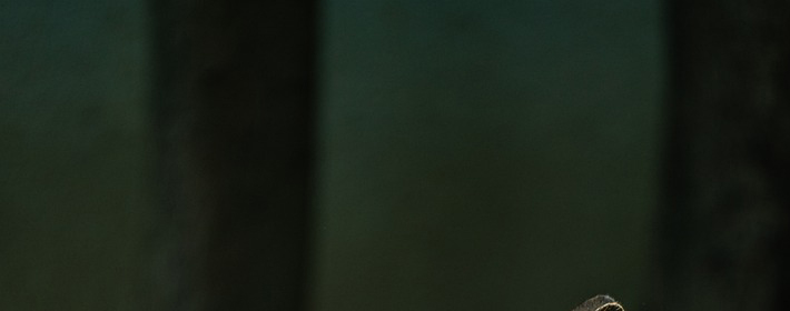 ۵㣺ַˮ׵ҵ