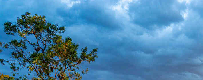 11��29����ʲô����?