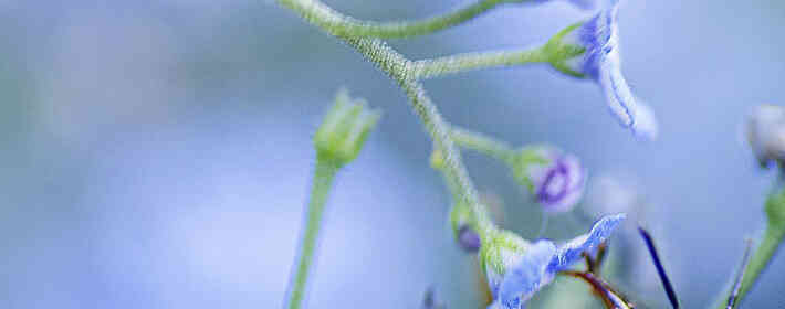 �ε��Լ���ͷ�׷�