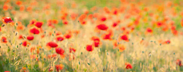 ��������ȩ�� ���ܵ�����