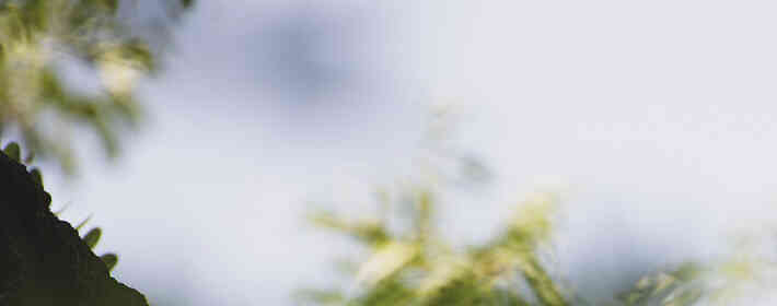 ��з���Ǽ��¼��ţ�