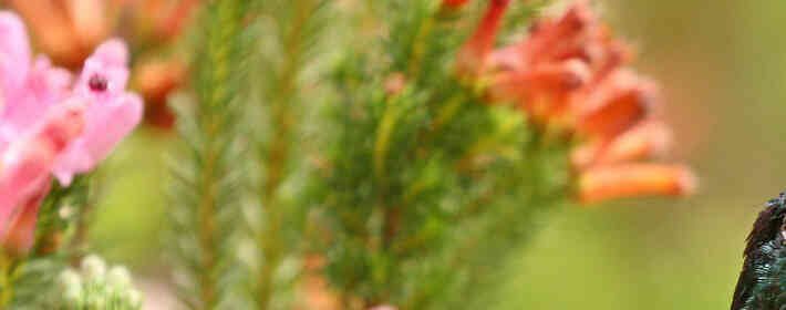 �и�˳����������,�и�������,���в�����������