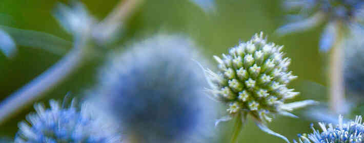 ����С֪ʶ���Ĳ��۾��Ǻ��¼�