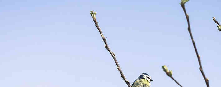 �μ��Լ��߶�����ô���£�