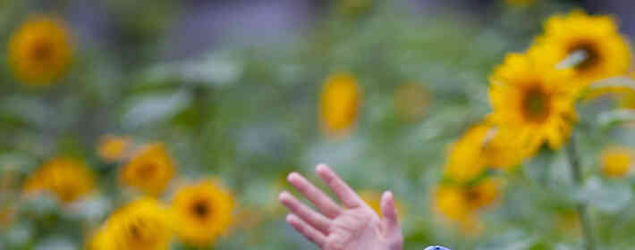 ��������ţ���˸��������������˺ϲ���