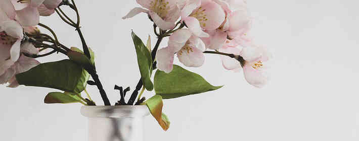 ǳ̸���й�������������䴫˵