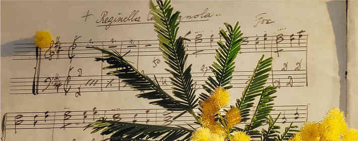 �������˺������������