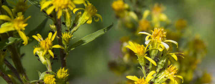 ���ú������������