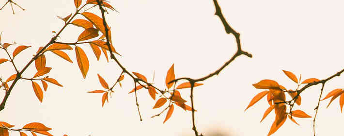 <b>ѧ���������������ʺϷ�ʲô��</b>