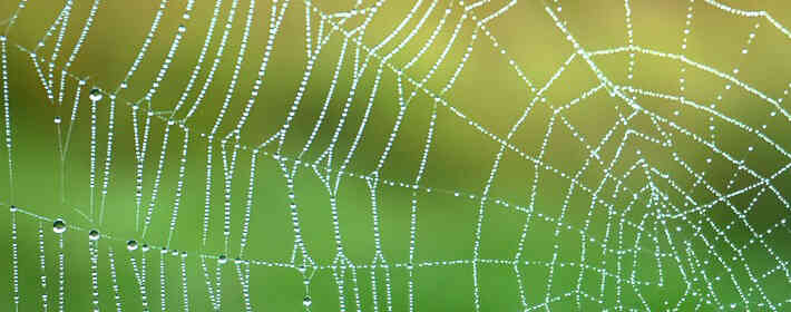 �μ�����ɱ�ߣ�