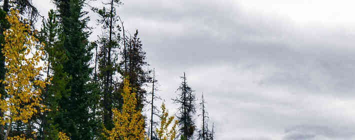 ����İ������������������������Ů����������Σ�