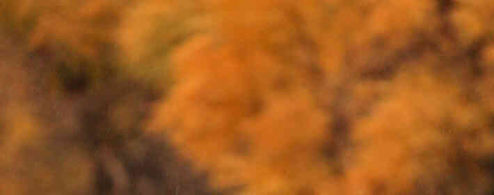 <b>�̵��й��ڽ۹����Ļ���ʹ�˵</b>