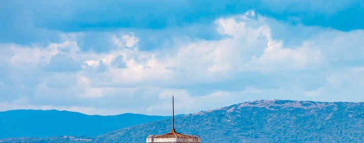 ֲ�ﻨ�� ���������ֲ��