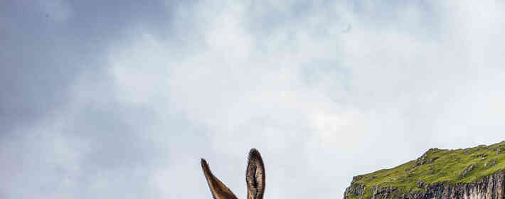 ����ʱһ��Ҫ������?